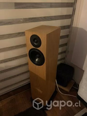 Parlantes Kudos Cardea 2