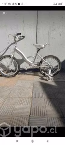 Bicicleta lerry