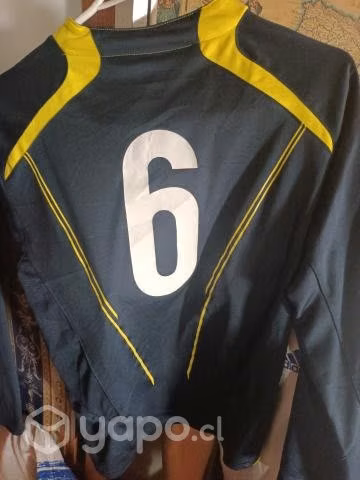 Camisetas varias