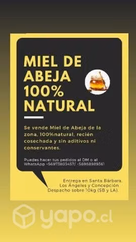 Venta de miel de abeja 100% natural cosecha 2024