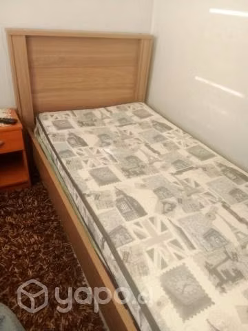 Cama
