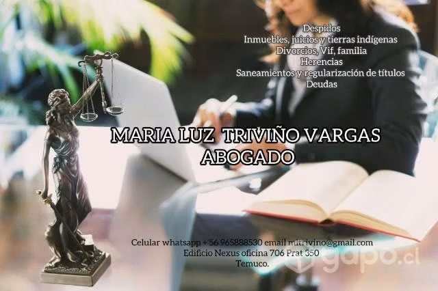 Abogado especialista