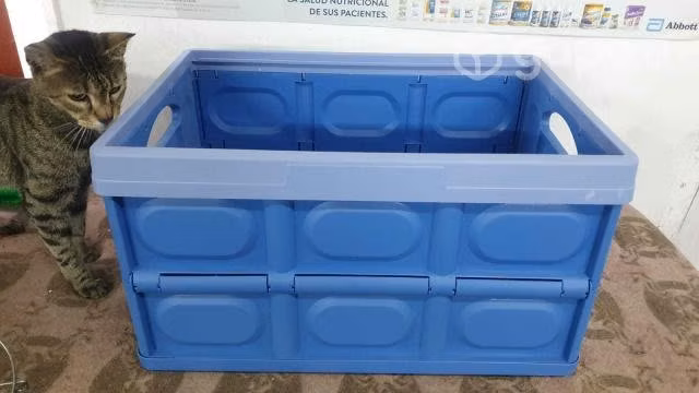 Cajas organizadoras
