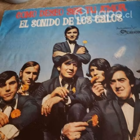 Coleccionista Disco