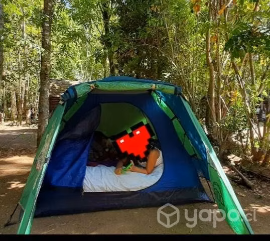 Carpa Doite