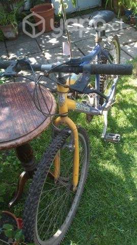 Bicicleta Bianchi aro 26 - Imagen 3