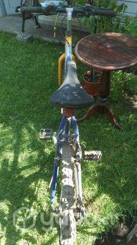 Bicicleta Bianchi aro 26 - Imagen 2