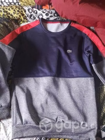 Buzos lacoste completo - Imagen 5