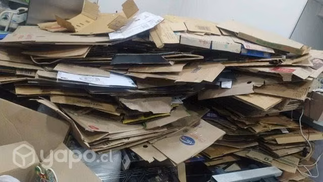Carton