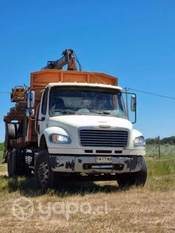 Vendo camión Freightliner con autocargante