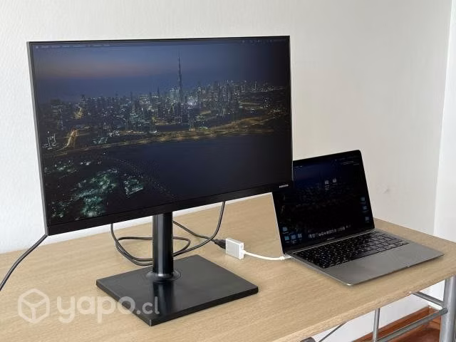 Monitor Samsung 24 pivoteable | Panel IPS | 75Hz