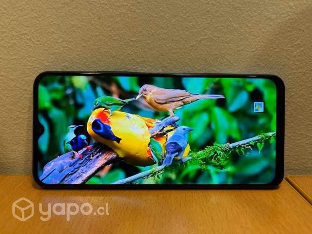 Celular Vivo Y51 practicamente Nuevo 6 meses