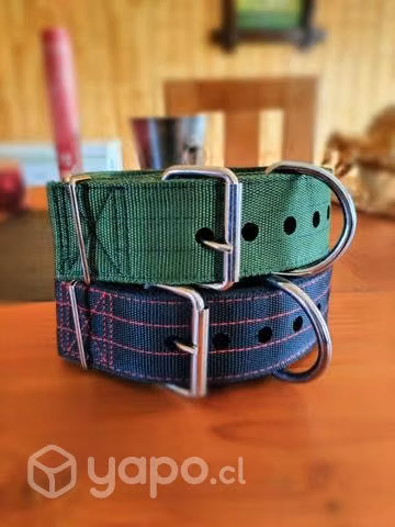 Collares para perros
