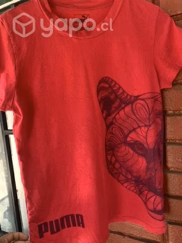 Poleras de dama - Imagen 3