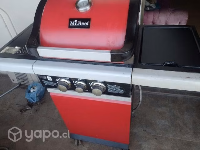 PARRILLA excelente estado
