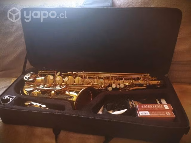 Saxofón Alto Lubeck (LSXA1)