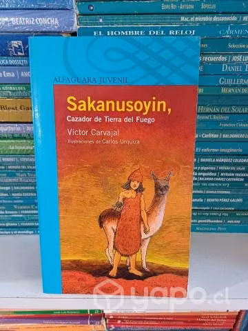 Sakanusoyin