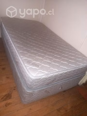 Cama