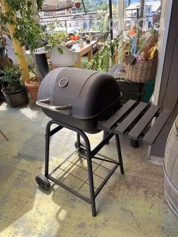 Parrilla Expert Grill a Carbón