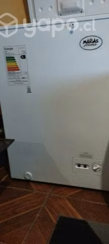 Congeladora 100L ( maigas)