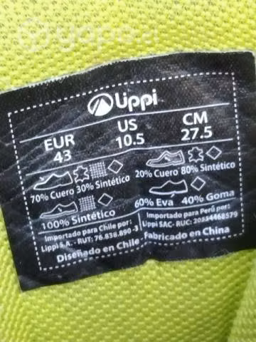 Botín Lippi 41 - Imagen 2