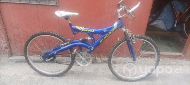 Bicicleta Dinosa