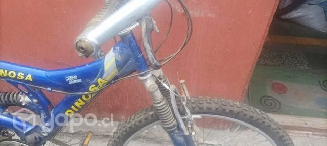 Bicicleta Dinosa