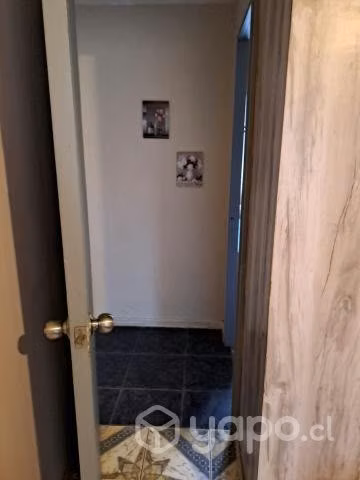 Arriendo departamento diario en constitucion