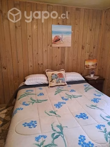Arriendo departamento diario en constitucion