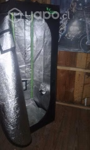 Indoor carpa grow
