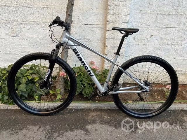 Bicicleta Bianchi Stone Mountain 29SX