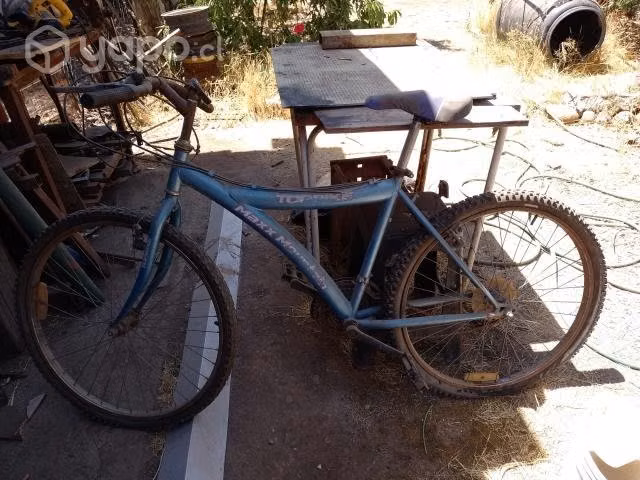Tres bicicletas