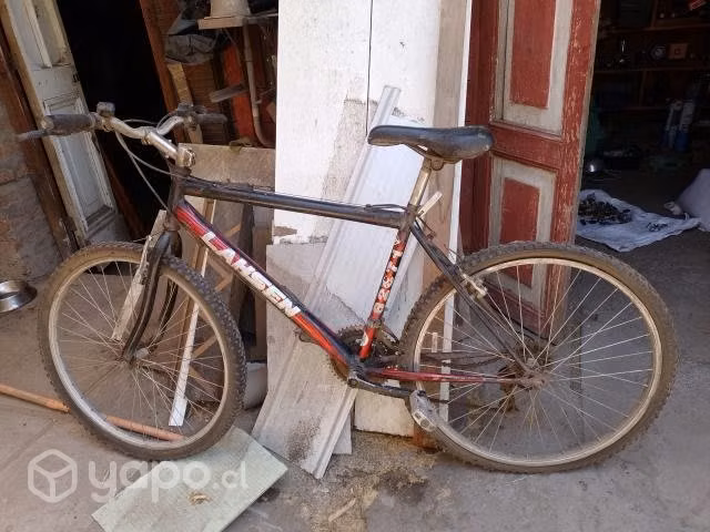 Tres bicicletas - Imagen 2
