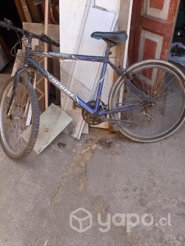 Tres bicicletas - Imagen 3