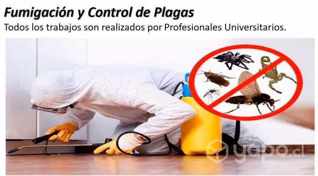 Fumigación y Control de Plagas