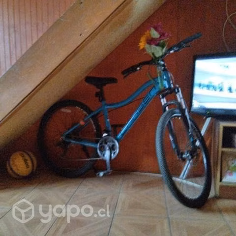 Bicicleta