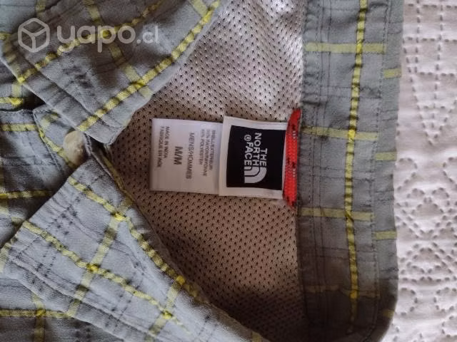 Camisa