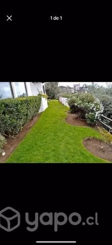 Se hacen trabajos de jardinería y piscina