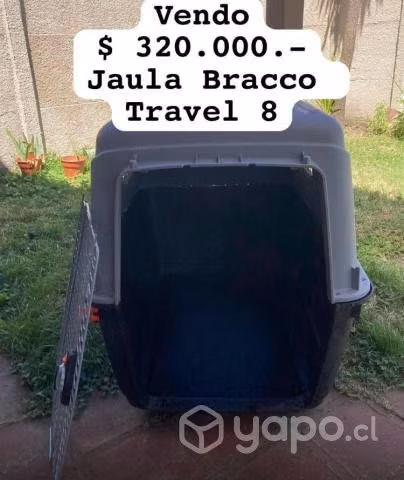 Jaula Transporte Perro Raza Grande Bracco 8