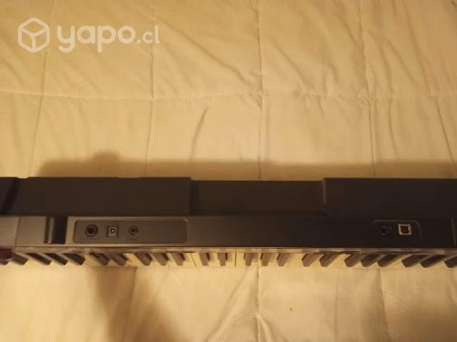 Teclado Casio