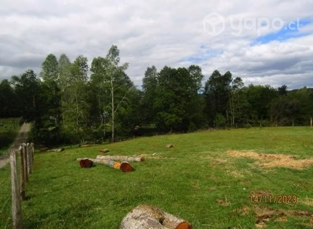 Terreno de 5000mtr²