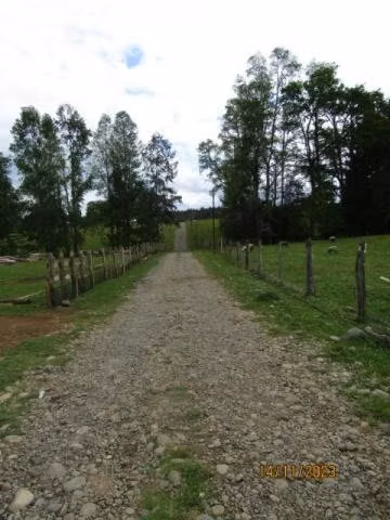 Terreno de 5000mtr²