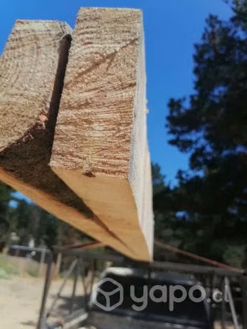 Lenguas y vigas
