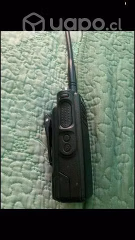 Motorola DGP5050