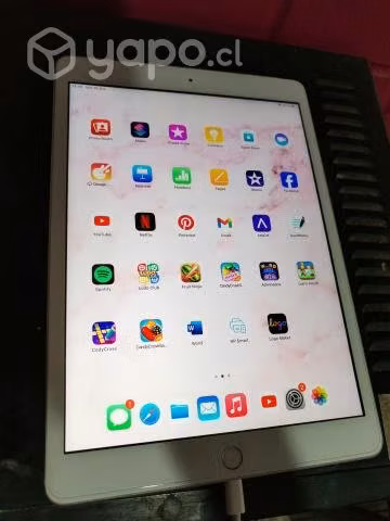 Ipad + lápiz