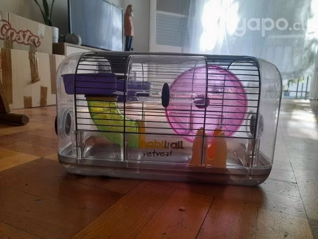 Kit Starter Hamster