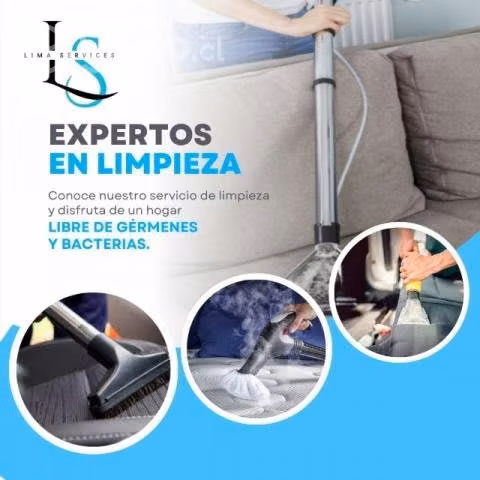 Limpieza de tapices
