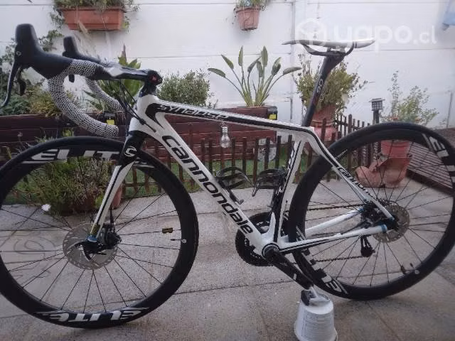 bicicleta ruta carbono semi nueva