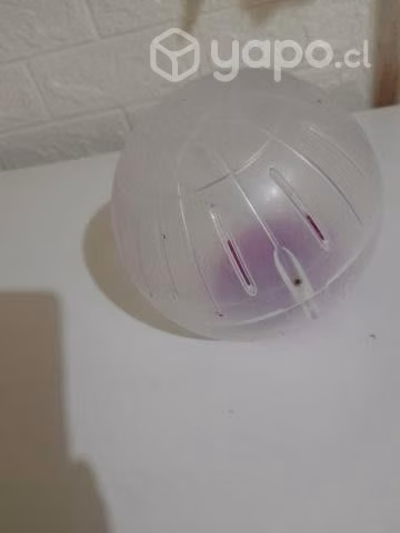 Platillo y bola hamster - Imagen 3