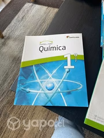 Libro Santillana Puentes del Saber 1ro M